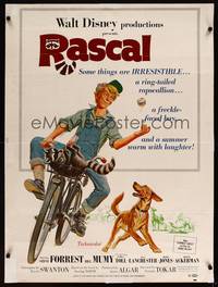 8f448 RASCAL 30x40 '69 Walt Disney, great art of Bill Mumy on bike with raccoon & dog!