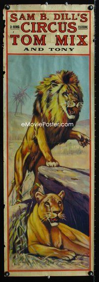 8f018 SAM B. DILL'S 3 RING CIRCUS circus poster '30s cool stone litho of lion & lioness!