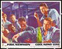 8j141 COOL HAND LUKE LC #2 '67 classic scene fo Paul Newman playing poker & getting his nickname!