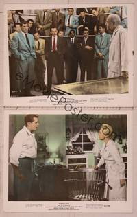 8p125 NOT AS A STRANGER 2 color 8x10 stills '55 Robert Mitchum, Olivia De Havilland, Frank Sinatra