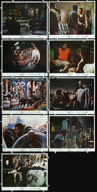 8p024 UP TIGHT! 9 color 8x10s '69 Jules Dassin, Raymond St. Jacques, Informer re-make!