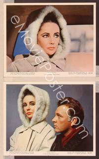 8p130 V.I.P.S 2 color 8x10 stills '63 close up of sexy Elizabeth Taylor & Richard Burton!