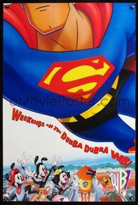 8r532 WEEKENDS ON THE DUBBA DUBBA WB 1sh '96 art of Superman & wacky cartoon characters!