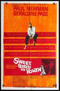 8t836 SWEET BIRD OF YOUTH 1sh '62 Paul Newman, Geraldine Page, from Tennessee Williams' play!