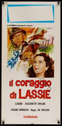 9b663 COURAGE OF LASSIE  Italian locandina R50s artwork of Elizabeth Taylor with famous canine!