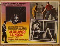 9f673 IN THE HEAT OF THE NIGHT Mexican LC '67 Sidney Poitier, super sexy barely-dressed girl!