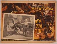 9f681 LAW OF THE WILD Mexican LC R50s wonderful huge artwork of German Shepherd Rin Tin Tin!
