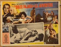 9f739 SWEET BIRD OF YOUTH Mexican LC '62 Paul Newman, Geraldine Page, from Tennessee Williams!