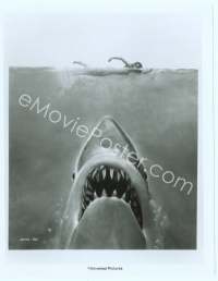 9g215 JAWS 8x10 still '75 art of Spielberg's classic man-eating shark attacking sexy swimmer!