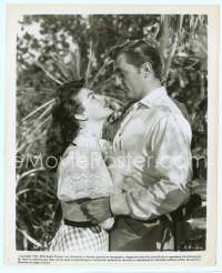 9g315 MY FORBIDDEN PAST 8x10 still '51 romantic close up of Robert Mitchum & pretty Ava Gardner!