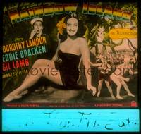 9h101 RAINBOW ISLAND glass slide '44 super sexy Dorothy Lamour wearing sarong by palm tree!