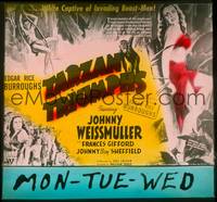 9h114 TARZAN TRIUMPHS glass slide '43 art of Johnny Weismuller & sexy Frances Gifford as Zandra!