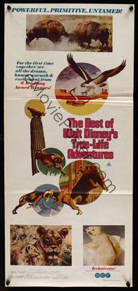 9j623 BEST OF WALT DISNEY'S TRUE-LIFE ADVENTURES Aust daybill '75 powerful, primitive, animal art!