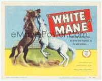 9k140 WHITE MANE TC '52 cool image of brown & white majestic wild stallions fighting!