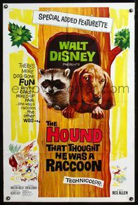 9p346 HOUND THAT THOUGHT HE WAS A RACCOON 1sh '60 Disney, wacky art of animals in tree!