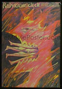9t165 RADIKALNI REZ Polish 26x38 '83 Dusan Klein, Dudzinski art of fire monster!
