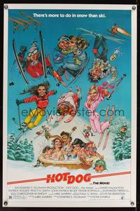 9v239 HOT DOG 1sh '84 David Naughton, Tracy N. Smith, wacky Phil Roberts skiing artwork!