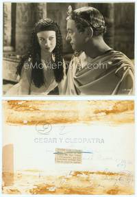 9y074 CAESAR & CLEOPATRA 6.75x9.5 still '46 c/u of sexy Egyptian Vivien Leigh & Claude Rains!