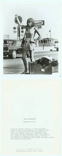 9y210 GRASSHOPPER 8x10 still '70 great image of Jacqueline Bisset hitchhiking in Las Vegas!