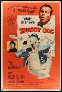 1b307 SHAGGY DOG 40x60 '59 Disney, Fred MacMurray in a new kind of horror movie, horribly funny!