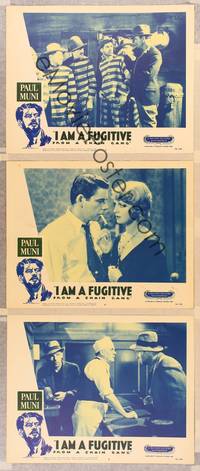 1e900 I AM A FUGITIVE FROM A CHAIN GANG 3 LCs R56 great images of escaped convict Paul Muni!