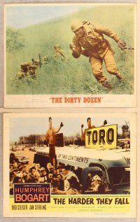 1f008 LOT OF 48 LOBBY CARDS 48 LCs '50s-60s Dirty Dozen, Homicicdal, Mondo Cane + many more!