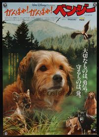 1g283 BENJI THE HUNTED Japanese '87 great close up of Disney Border Terrier & cougar cub!