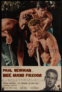 1k482 COOL HAND LUKE Italian photobusta '67 close up of barechested Paul Newman digging with men!