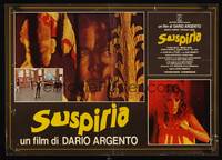 1k508 SUSPIRIA Italian photobusta '77 classic Dario Argento horror, super c/u of Jessica Harper!