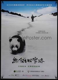 1m308 TRAIL OF THE PANDA Chinese '09 Disney, Yu Zhong's Xiong mao hui jia lu, great image!