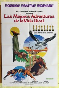 1s641 BEST OF WALT DISNEY'S TRUE-LIFE ADVENTURES Spanish/U.S. 1sh '75 powerful, primitive, animal art!