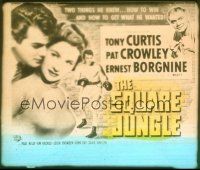 1x102 SQUARE JUNGLE glass slide '56 artwork of boxer Tony Curtis + Pat Crowley & Ernest Borgnine!