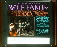 2d168 WOLF FANGS glass slide '27 a dynamic drama of Thunder the Canine Marvel's devotion!