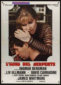 2e109 SERPENT'S EGG Italian 1p '77 Ingmar Bergman, different c/u of Liv Ullmann & David Carradine!