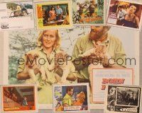 2g024 LOT OF 26 LOBBY CARDS lot '37 - '75 Born Free, Big Gamble, Belle Sommers + many more!
