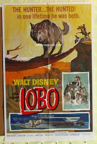 2h478 LEGEND OF LOBO 1sh '63 Walt Disney, King of the Wolfpack, cool artwork of wolf being hunted!