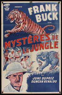 2j004 TIGER FANGS Moroccan '40s Frank Buck, art of big cat & elephants!