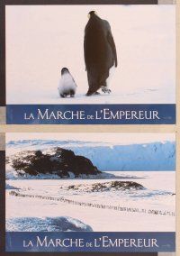 2j240 MARCH OF THE PENGUINS 6 French LCs '05 great images of Antarctica!