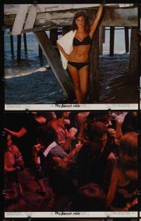 2p501 SWEET RIDE 8 color 11x14 stills '68 Michael Sarrazin, Jacqueline Bisset standing in bikini!