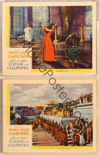 2p779 CAESAR & CLEOPATRA 3 LCs '46 sexy Egyptian Vivien Leigh, cool images!