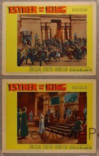 2p699 ESTHER & THE KING 5 LCs '60 Mario Bava, sexy Joan Collins & Richard Egan!