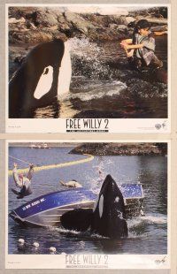 2p593 FREE WILLY 2 7 LCs '95 Dwight Little directed sequel, The Adventure Home, killer whale!