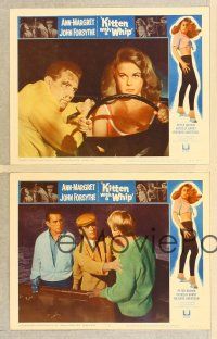 2p739 KITTEN WITH A WHIP 4 LCs '64 John Forsythe wishes he wasn't riding w/sexy Ann-Margret!