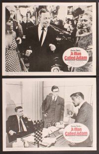 2p359 MAN CALLED ADAM 8 LCs '66 great images of Sammy Davis Jr. + Louis Armstrong playing trumpet!