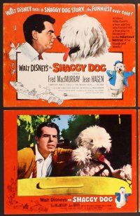 2p463 SHAGGY DOG 8 LCs '59 Disney, Fred MacMurray in the funniest sheep dog story ever told!