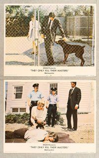 2p684 THEY ONLY KILL THEIR MASTERS 6 LCs '72 James Garner & Doberman Pincer dog, Katharine Ross!