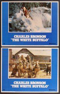 2p557 WHITE BUFFALO 8 LCs '77 Charles Bronson as Bill Hickok, Will Sampson, Kim Novak!