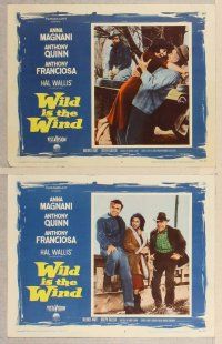 2p564 WILD IS THE WIND 8 LCs '58 Anthony Quinn, Tony Franciosa, sexy Anna Magnani!