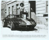 2x218 CLEOPATRA JONES 8x10 still '73 classic image of Tamara Dobson with one foot on her Corvette!