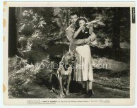 2x462 PRIVATE NUMBER 8x10 still '36 Robert Taylor helps Loretta Young fire rifle, cool Great Dane!